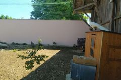IMG_20220621_104531