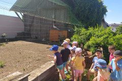 IMG_20220621_104603