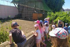 IMG_20220621_104616