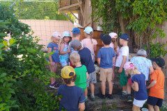 IMG_20220621_104659