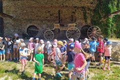 IMG_20220621_105304
