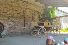 IMG_20220621_105328