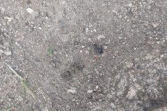 20230622_163426