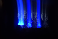 DSCN4050