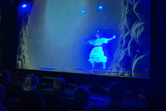IMG-20260401-WA0031
