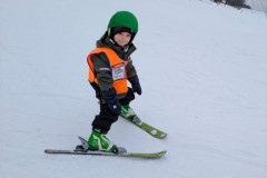 37a43e22-6e93-4f38-9470-bf21658484e3