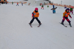 477507b0-980f-4b27-aca1-cda064744706