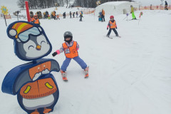 IMG_20260203_103329_626