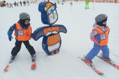 IMG_20260203_103335_338