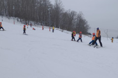 IMG_20260204_091934