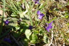 DSCN3958
