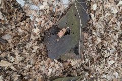 PXL_20230404_084100169
