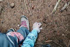 IMG_20250327_100131