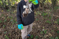 PXL_20260918_082234206