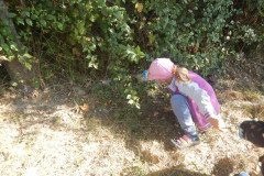 DSCN1648