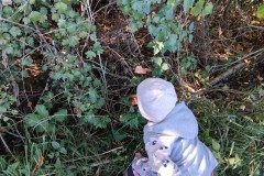 IMG_20221115_140402