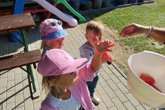 IMG_20221115_144046
