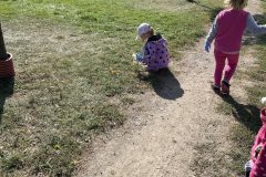 IMG_5262