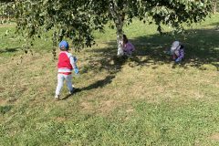 IMG_5279