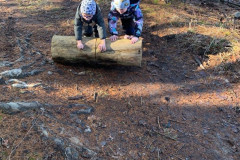 1daba8af-e221-43b0-91fc-d0b15fa6a3b6