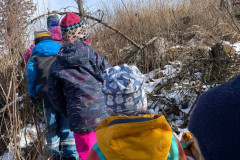 2e2c2bae-1c68-4632-8439-bfbc63587726