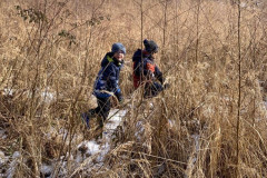 47555f25-f679-4520-b74f-f39ecc473481