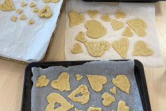 a0d1b676-24f1-475c-8ae2-6e884fa9e5ee