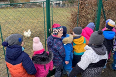 a3cdf2e7-b75a-43a6-ba9e-1bb1f10c3f54