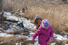 bc607560-4659-4c53-8b23-f1c687b382c0