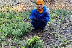 c3ad829b-a280-44a4-a532-176376e8ec27