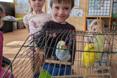 00dd0024-cb20-448f-823a-948020a0cb80