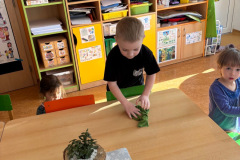 05FF8A33-FE3B-4DCA-8A2B-0FCB03D046DD