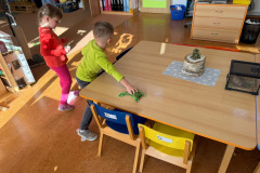 0d2155a5-c854-4dff-94ff-c76b0e25044a