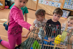 0dd124da-f575-4748-a214-3a6699fb9cdc