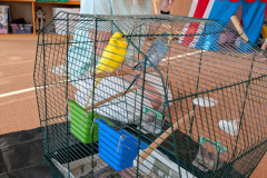 2cf3c48e-d3fb-4d40-879f-3855ac387dda