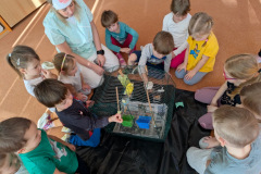 54f8f2b8-8296-4f6f-a568-776eeee8f9bf