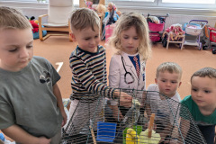 73f37369-143f-445a-a197-26ad5f29a0ff