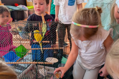 8be686d6-3fd5-443e-b35c-76a0b698b125