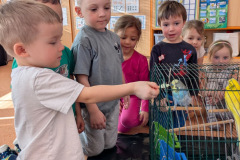 98919cd6-2335-4899-af26-cf0e3fe982c6