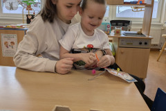 PXL_20260216_072658604