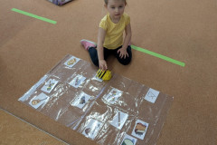 PXL_20260219_062255330