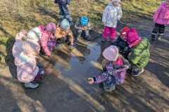 c0348636-7dd2-41a9-84d1-11bef2dca232