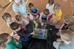 db8e60c1-e199-4724-9aa7-b95895f5bc0c