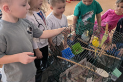 e2f65cc8-89ec-453e-b486-dd0d8b176911