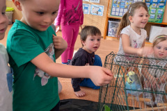 e51bc781-986c-4821-961c-4816339c2103