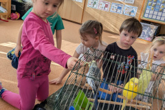 e572c549-080d-41ef-b6bf-2b7e2777d9db