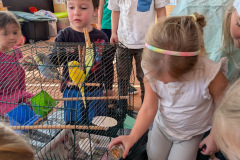 fd19c0de-f32f-4270-b8d6-bcdabb2ea532