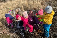 IMG-20240217-WA0055