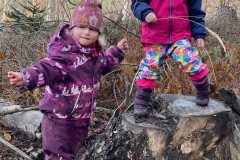 IMG-20240217-WA0058