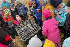 IMG-20240228-WA0008